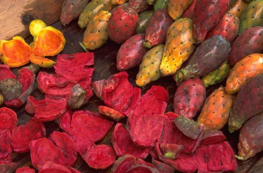Vedere Vale Piu Di Mille Parole Badesi Ngoại thất bức ảnh